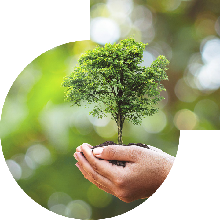 关怀人类、文化、环境与社会